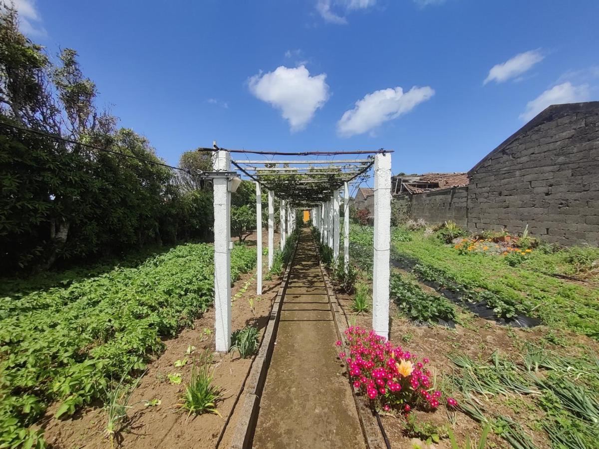 リベイラ・グランデ Casa Amarela De Santanaヴィラ エクステリア 写真